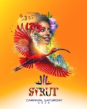 STRUT CARNIVAL | TRINIDAD